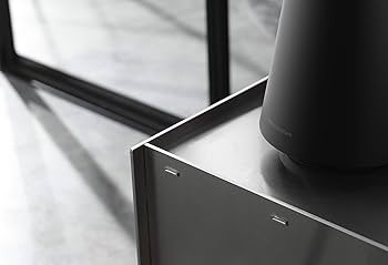 Amazon.com: Bang & Olufsen Beosound 1 Wireless Multiroom Speaker