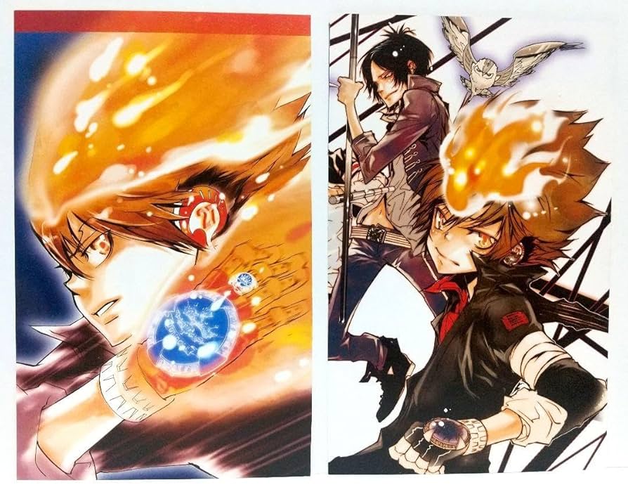 家庭教師ヒットマンREBORN! 沢田綱吉 ツナ クリアポスター 原作絵 家庭