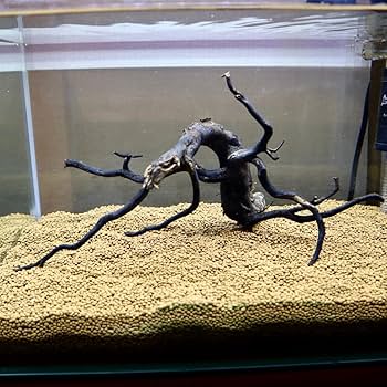 Amazon | アク抜き済み枝流木 45cm水槽用 沈水確認 あく抜き済み