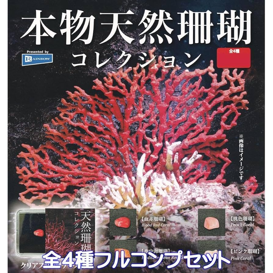 天然 珊瑚 サンゴ サンゴ 珊瑚 レトロ 42センチ 57グラム