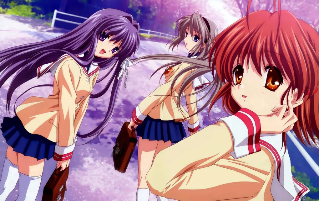 Amazon.com: Clannad Anime 22x14 inch Plastic Poster - Waterproof