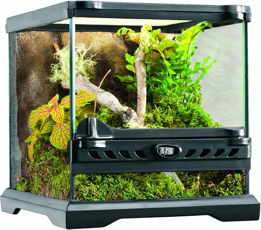 Amazon | GEX EXOTERRA グラステラリウム ナノキューブ PT2599