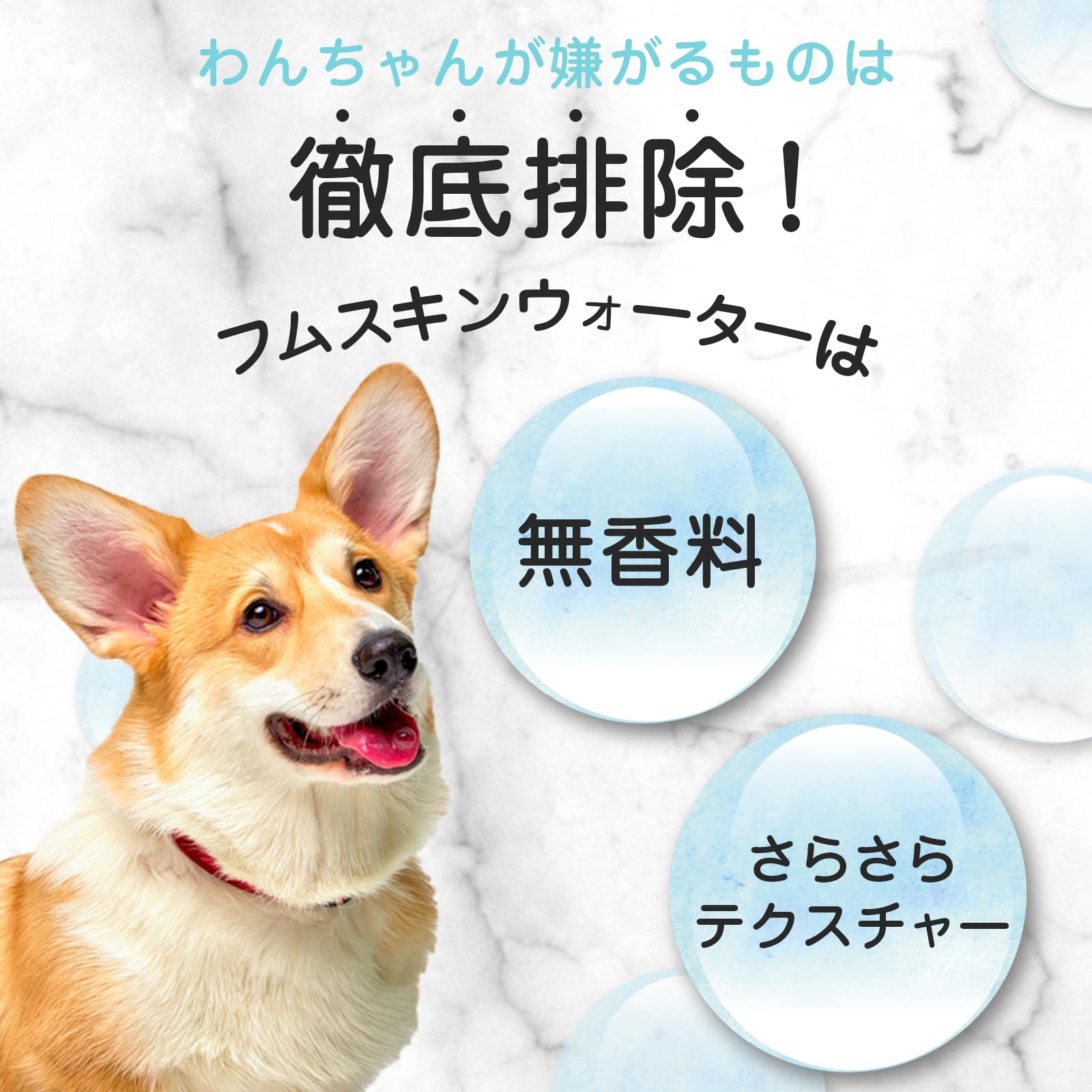 Amazon | MOREMOTTO モアモット フムスキンウォーター 犬 皮膚 痒み