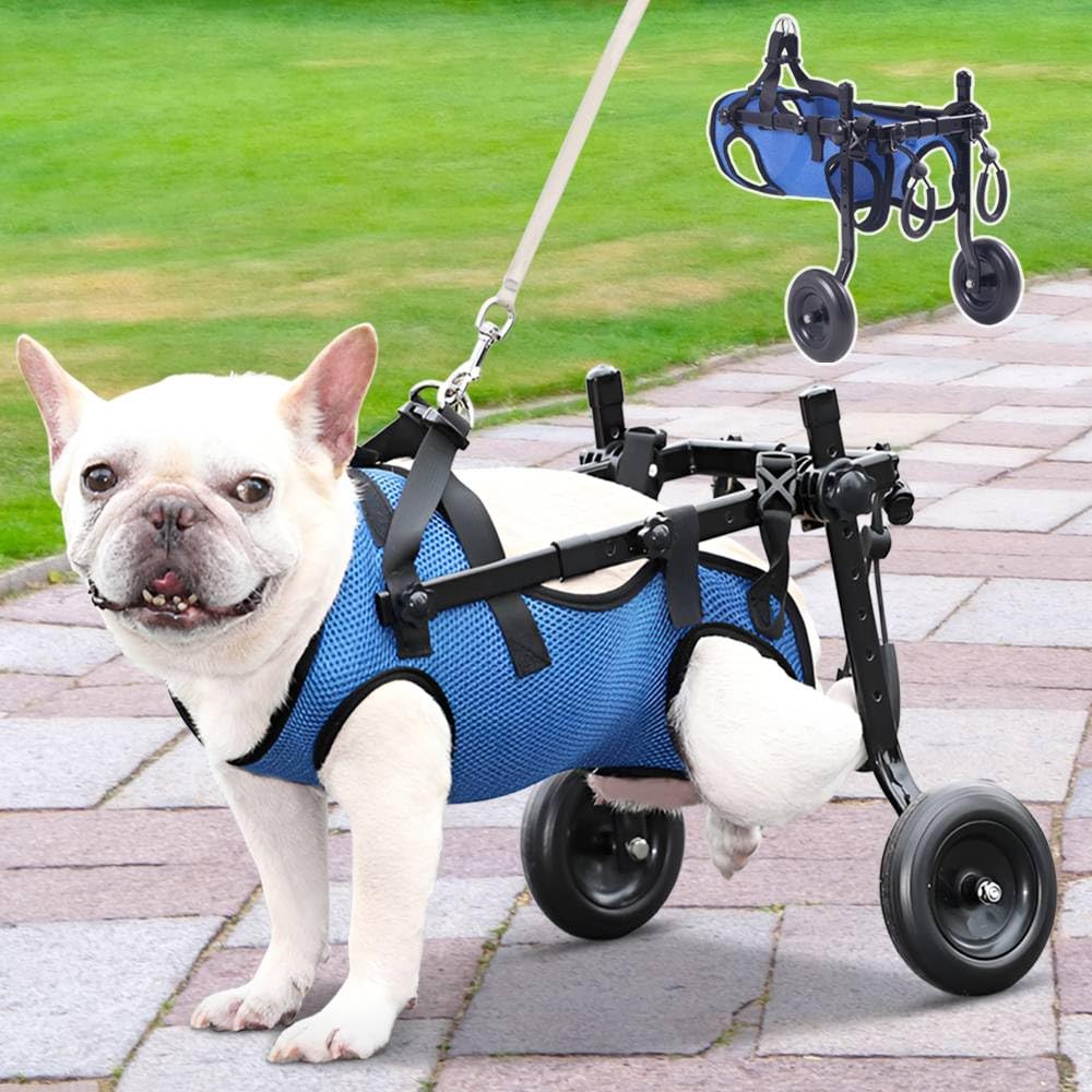Amazon | Bonarca 犬用車椅子 歩行器 【選べる2タイプ/3サイズ】 犬 2