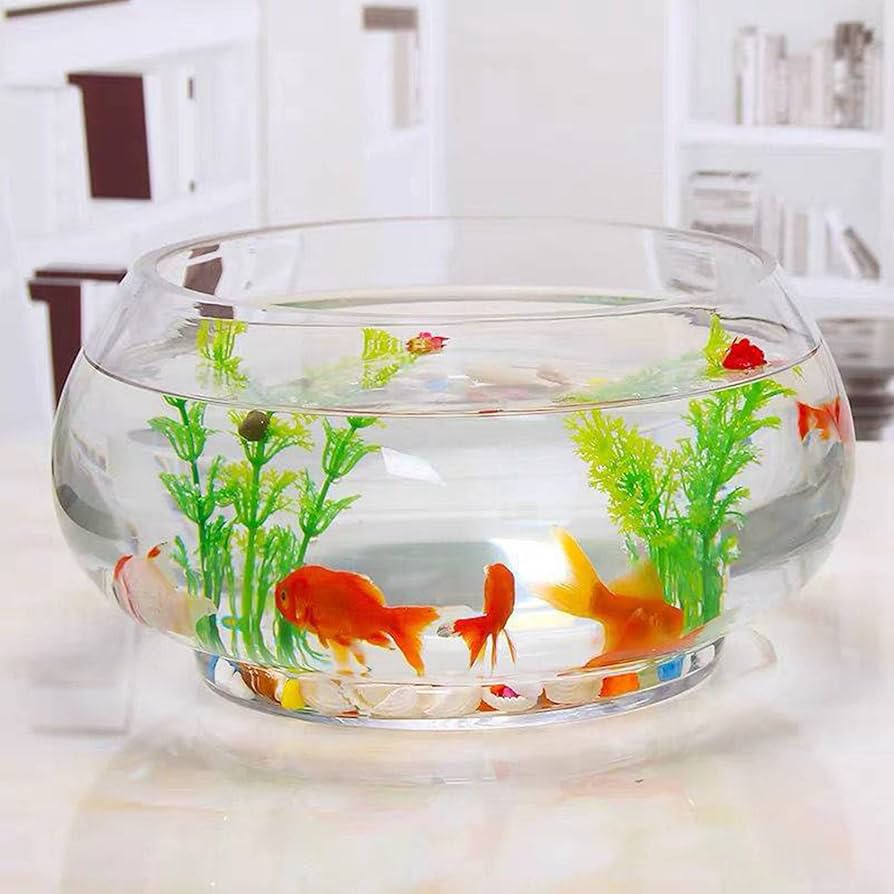 昭和 アンティーク ガラス金魚鉢 水槽 レトロガラス レトロ水槽金魚鉢