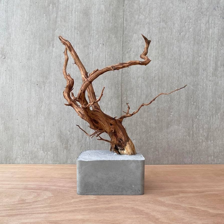 超大型流木アート オブジェ/生け花インテリア置物/.盆栽ガーデニング