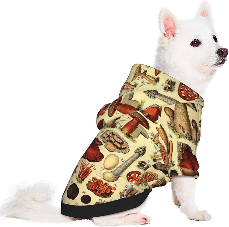 Amazon | ペット服 犬服 ヴィンテージ かび きのこの種類 ドッグウェア