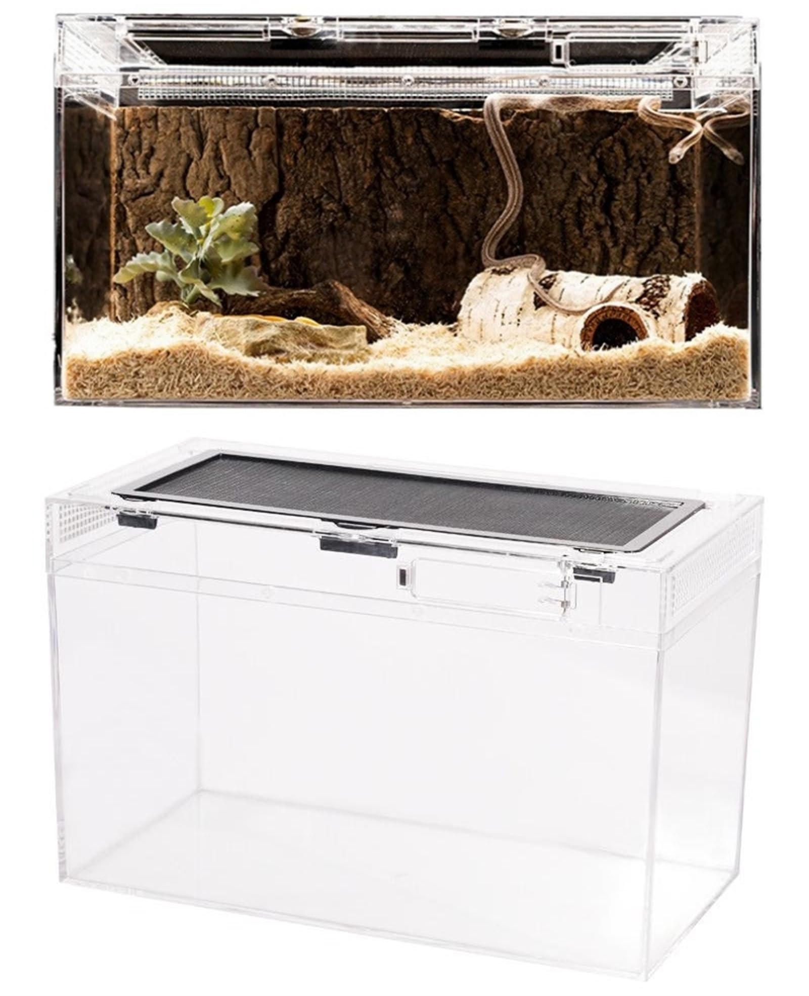 爬虫類ボックス爬虫類ケージ爬虫類飼育ケージ爬虫類飼育ケーストカゲ