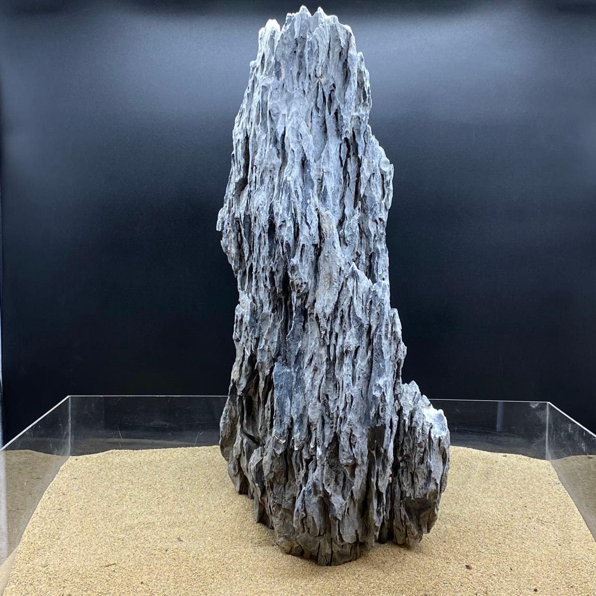 MSS-6486 販売 「セレクト品」酸処理青龍石親石 29cm 龍王石 竜王石