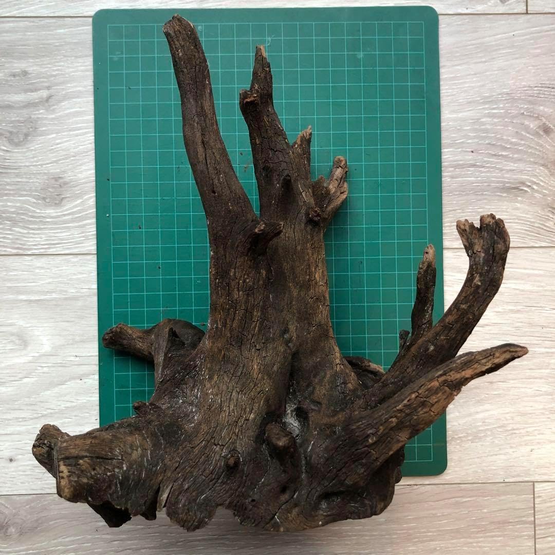 MRW-6798 赤系流木4本セット 90cm水槽用 切株 一点物 アクアリウム MRW-