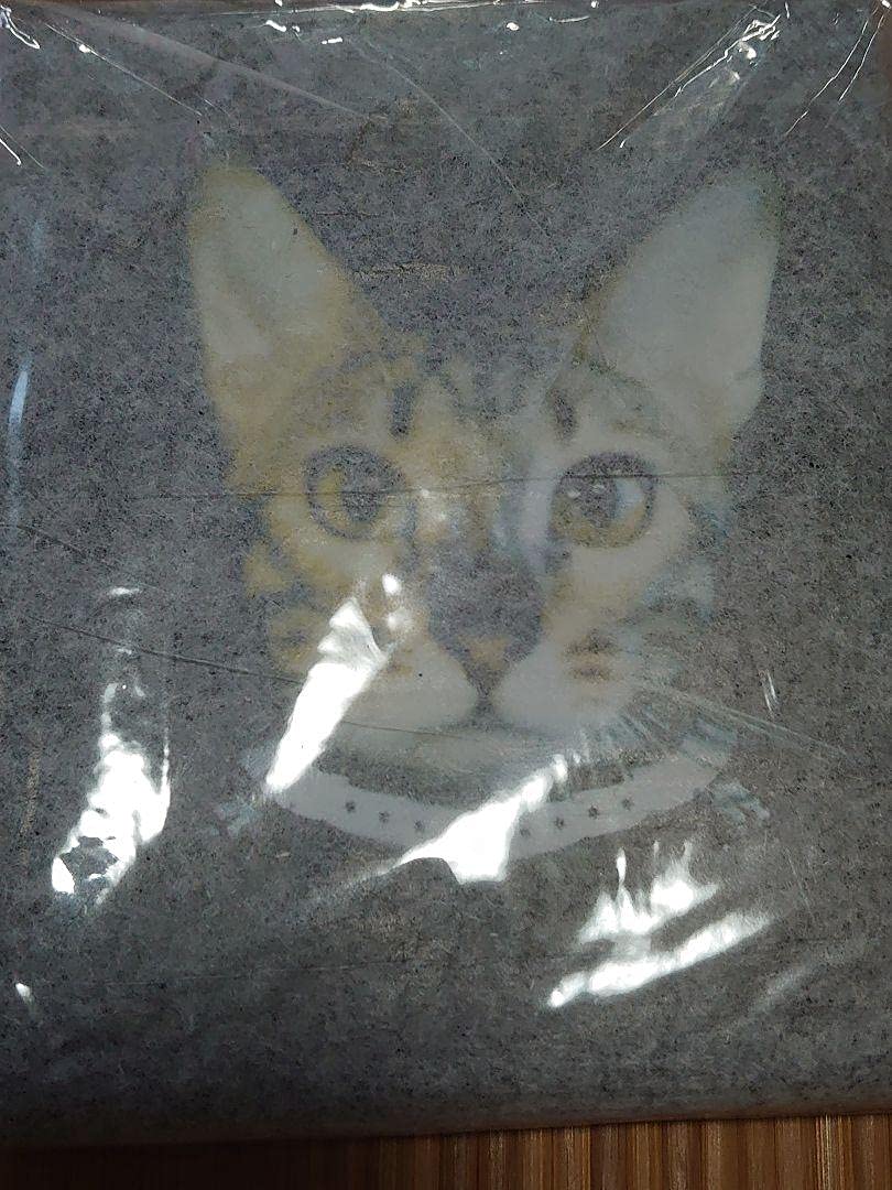 BUCK-TICK あっちゃんプロデュース まるミラー付きポーチ BUCK-TICK