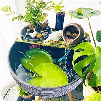 Amazon | simerlook 睡蓮鉢 メダカ 鉢 大型 植木鉢 金魚鉢 水生植物