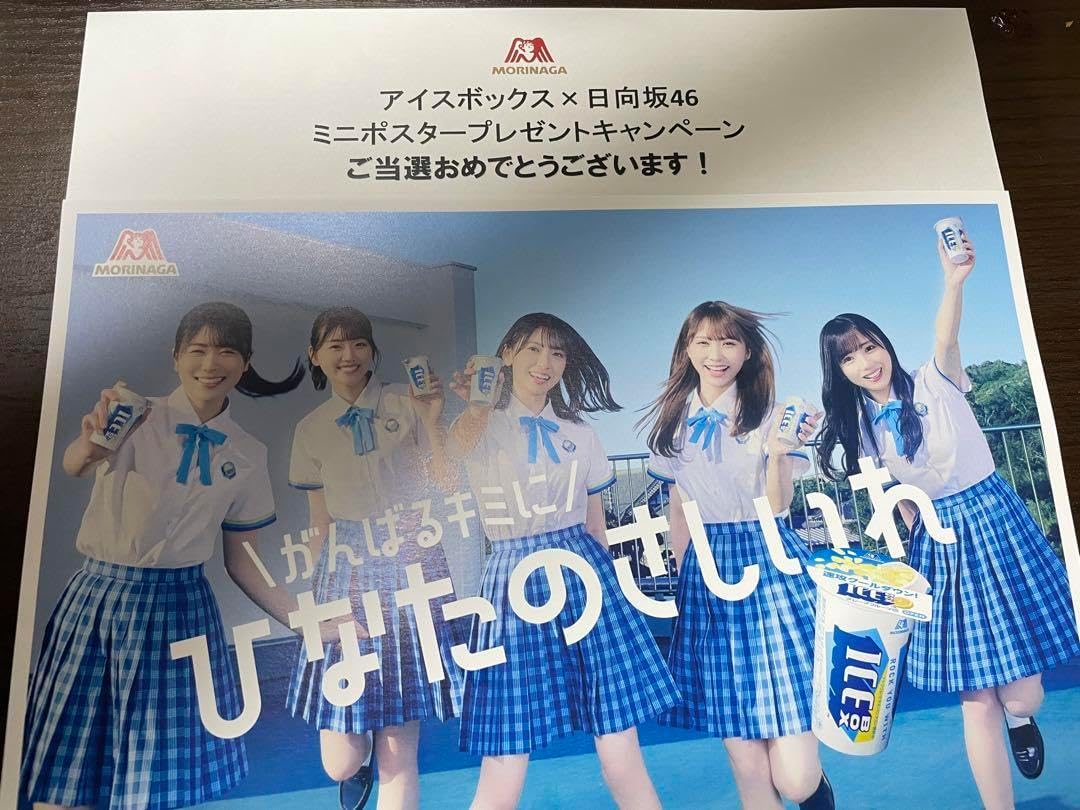 非売品 10枚セット 日向坂46×アイスボックス ミニポスター （正源司