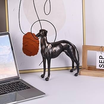 71cXP1-tlEL._AC_UF350,