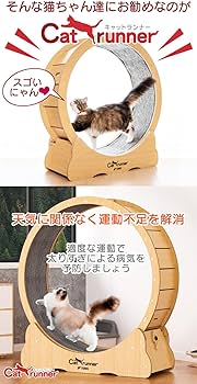 Amazon.co.jp: FUNKS キャットランナー キャットホイール 猫 90cm 自走