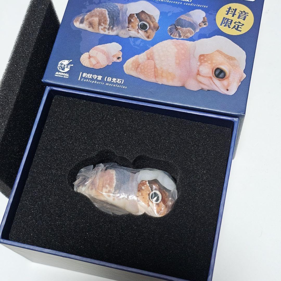 動物の惑星】世界88体限定☆ニシアフリカトカゲモドキ（脱皮版）☆2体