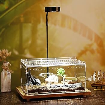 Amazon | 飼育ケース 爬虫類 ケージ 昆虫飼育ケース 飼育容器 無色
