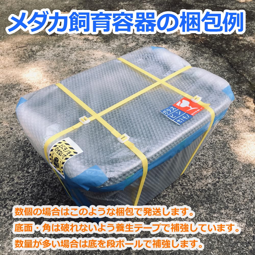 Amazon | 五色アクア メダカ飼育容器 36リットル グレー（灰色