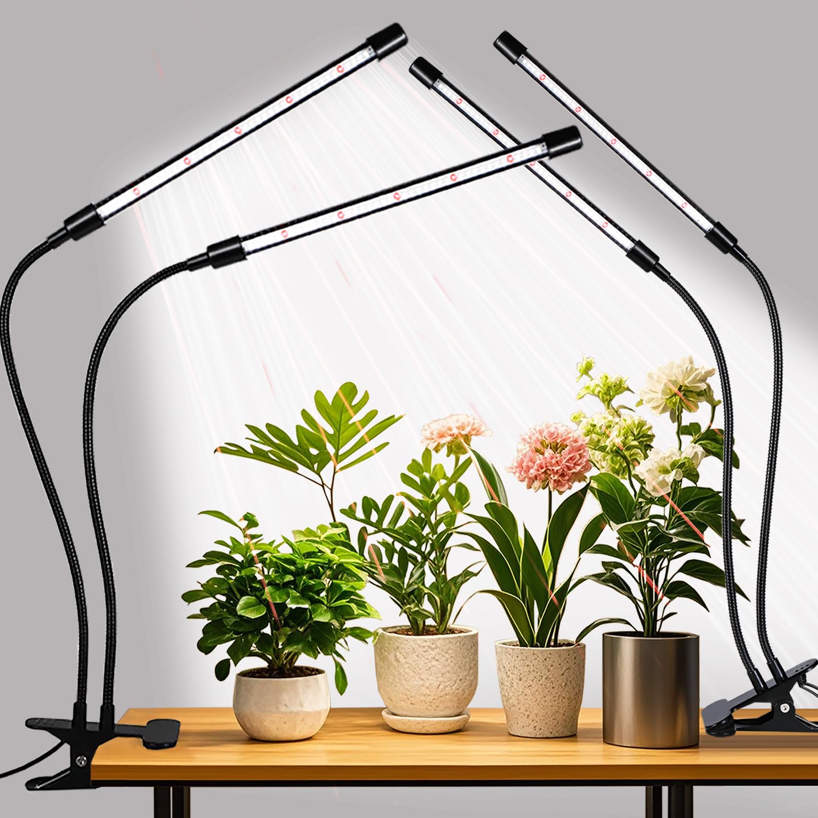 Amazon.co.jp: 屋内植物用グローライト、アップグレード84個のLED
