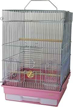 71esWU+xf9L._AC_UF350,