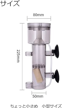 Amazon | 海水魚 生体 チャーム 海水 海水魚飼育用 プロテインスキマー