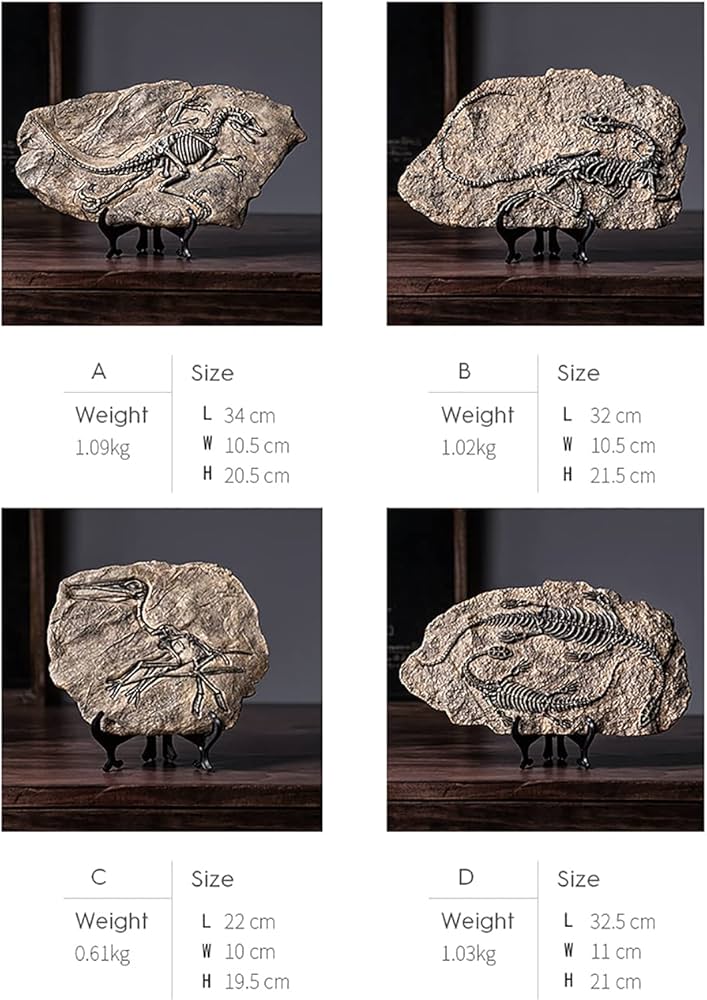 Amazon.co.jp: 恐竜 骨 グッズ 化石 オブジェ 化石標本 置物 レプリカ