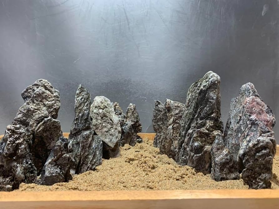 1[新品]ADA 龍王石 約4キロ☆水槽 レイアウト 特級形状 青龍石 石組