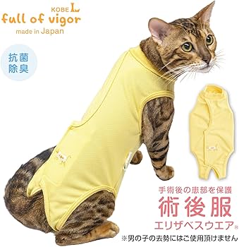 Amazon | 猫 傷口舐め対策 術後服 エリザベスウエア 術後ウエア 男女