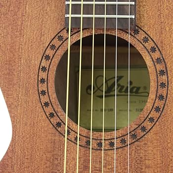 Amazon | ARIA アリア ミニアコースティックギター ASA-18 N ケース