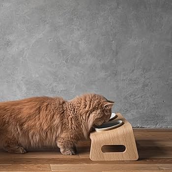 Amazon | [カリモク家具] KARIMOKU CAT TABLE 猫 食器 家具 磁器 15度