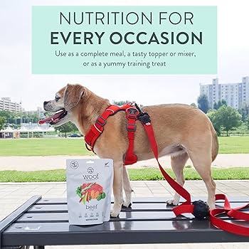 Amazon.co.jp: Woof(ワフ) WOOFフリーズドライドッグフード ビーフ 50g