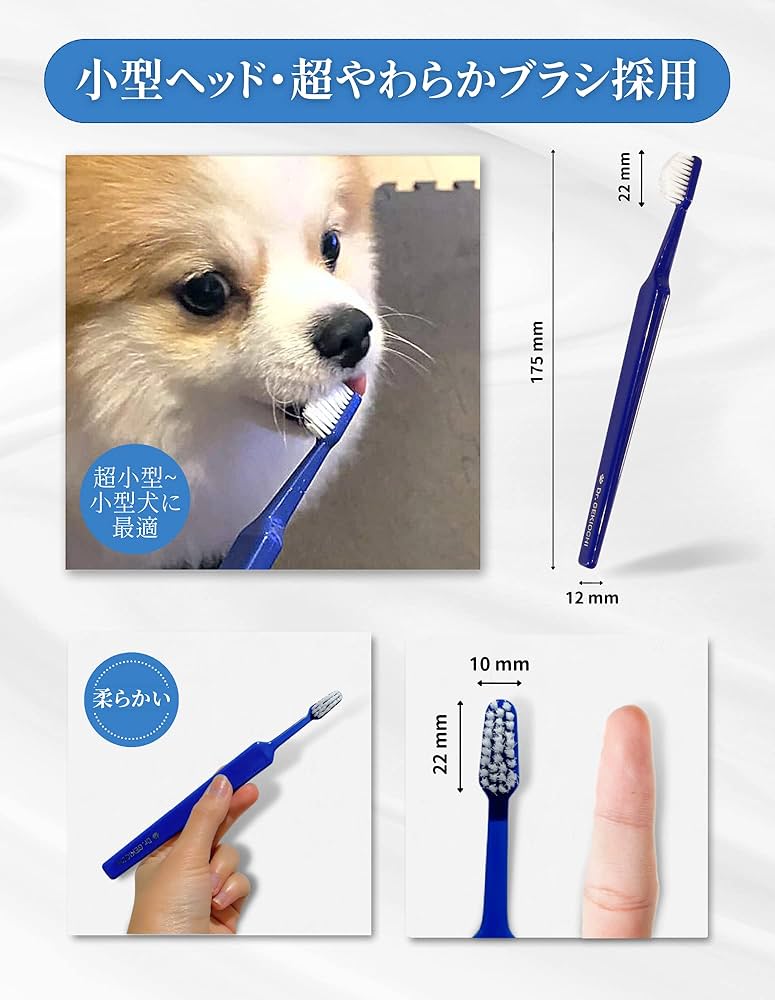 ドクターデンタルワン30g ドクターデンタルワン 2本セット 2本セット