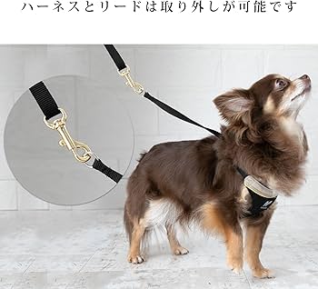 犬 ハーネス リード セット petfb524[品番：BCYW0019505]｜BACKYARD