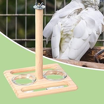 Amazon | ケージ用の鳥の止まり木、鳥の止まり木 - 鳥かごの止まり木