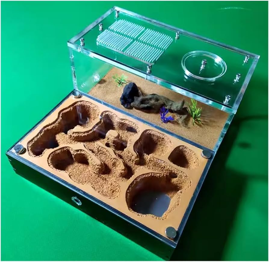 アリの巣 観察セット×4 Amazon.co.jp: アリの巣観察キット : おもちゃ