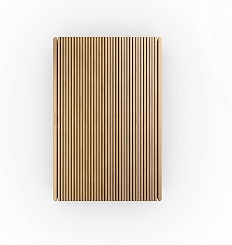 Amazon.com: Bang & Olufsen Beosound Level Portable Wi-Fi Multiroom