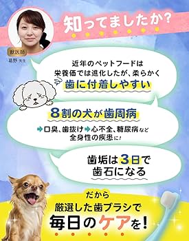 Amazon.co.jp: 【獣医師監修】 犬用歯ブラシ 犬歯磨き 小型犬