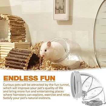 71ir-kRsf3L._AC_UF350,