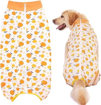 専用○犬服○ハンドメイド 胴36 NO.718 専用○犬服○ハンドメイド 胴36