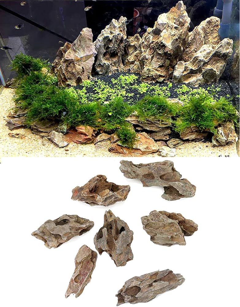 MSRW-6772 特大天然流木1点物 スリムウッド アクアリウム 魚用品・水草