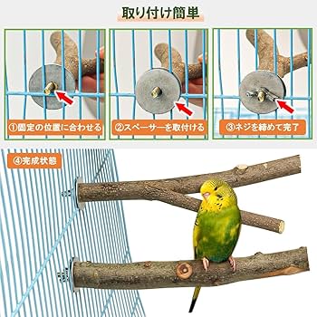 Amazon | SALUDABLE 鳥 止まり木 止まり台 パーチ 自然木 インコ