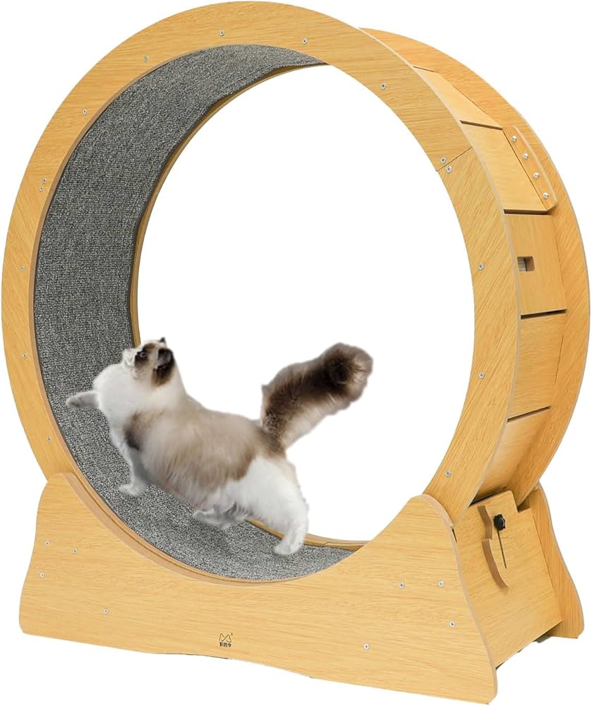 Amazon | [Rocotto/日本語説明書付き] キャットホイール 猫 ルーム