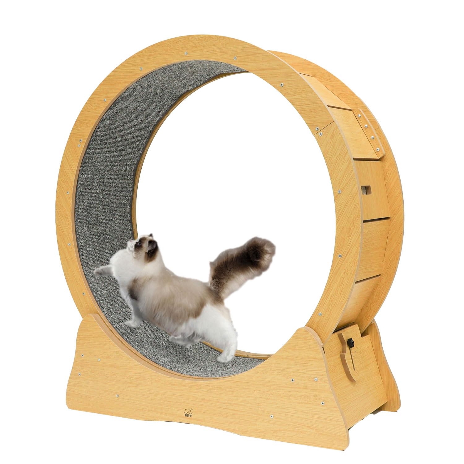 Amazon | [Rocotto/日本語説明書付き] キャットホイール 猫 ルーム