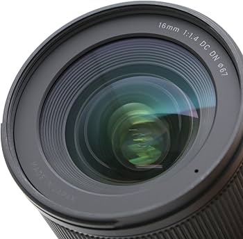 Amazon.com : Sigma 16mm f/1.4 DC DN Contemporary Lens for Sony E