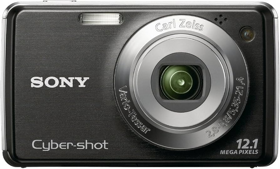 Amazon.com : Sony Cybershot DSC-W220 12.1MP Digital Camera with 4x