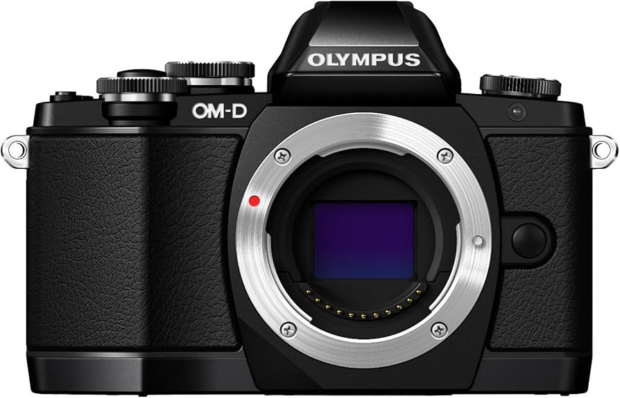 Amazon.com : OM SYSTEM Olympus OM-D E-M10 Mirrorless Digital