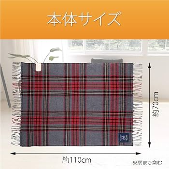 ◇MOON 電気ひざ掛け KOIZUMI ウール100% 【公式通販】