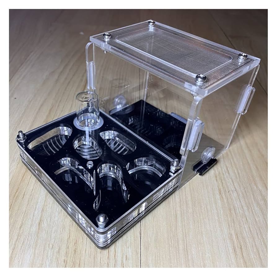 アクリル製アリ飼育キット 自然な岩レイアウト