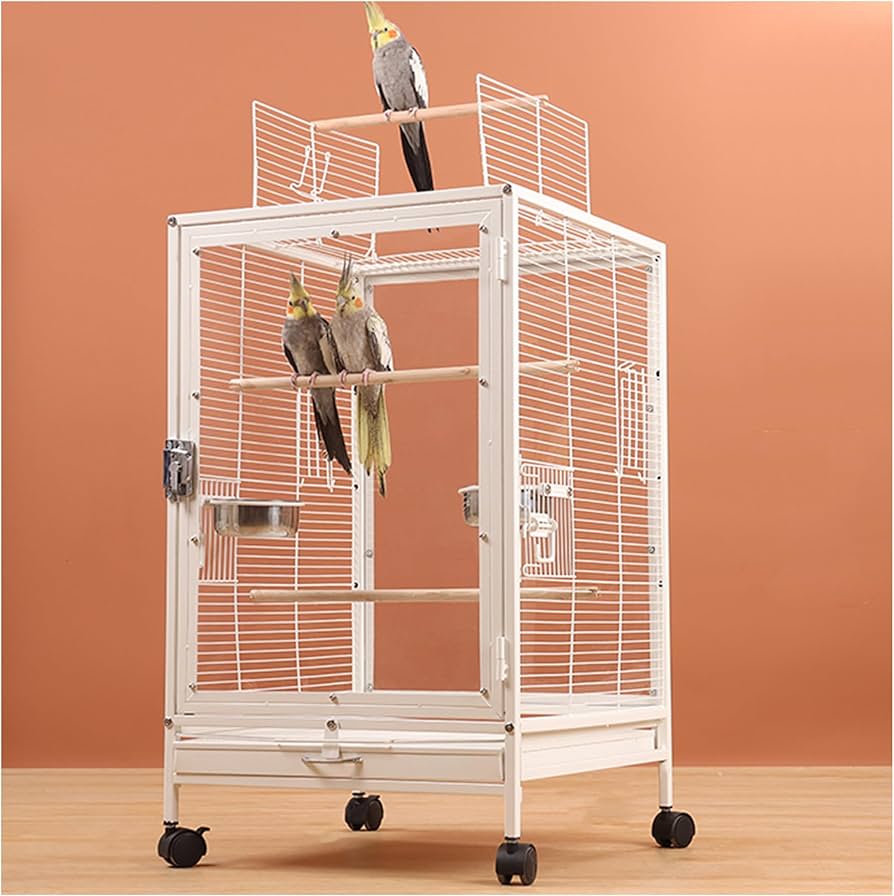 鳥カゴ中型アクリル鳥用ケージ(エサカップ4つ、エサ付)