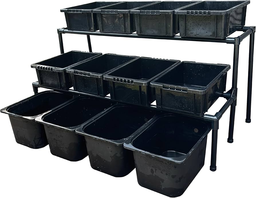 Amazon | おひさまめだか メダカ飼育ラック (黒, 2段12個置き) NVBOX13